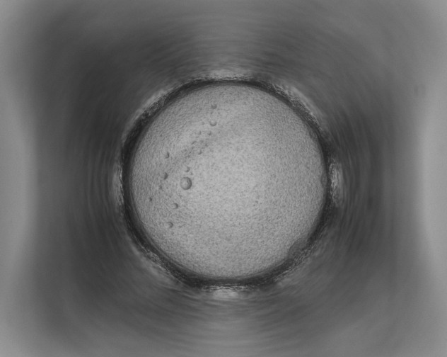 X0000111840684200908131419