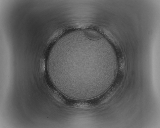 X0000111840685200908131419