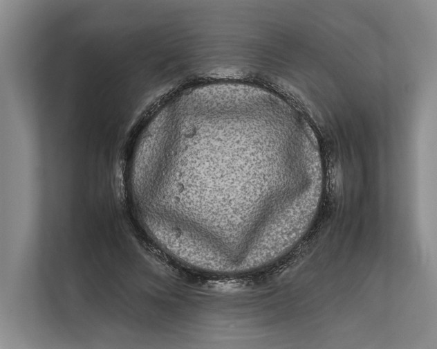 X0000111840688200908131419