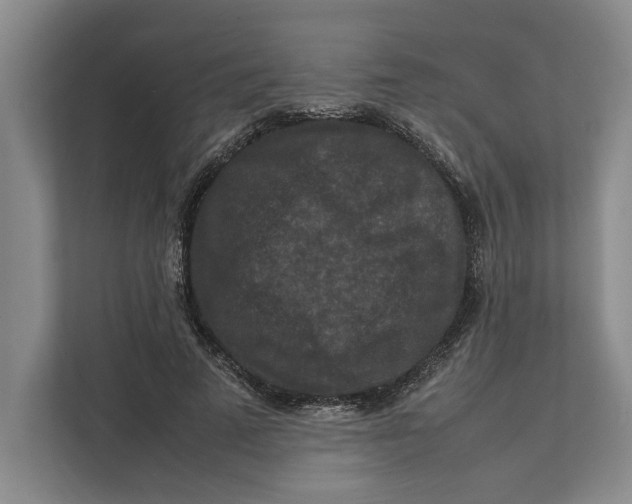 X0000111840689200908131419