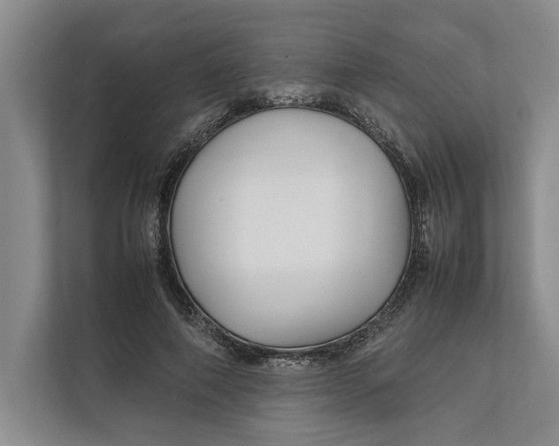 X0000111840690200908131419