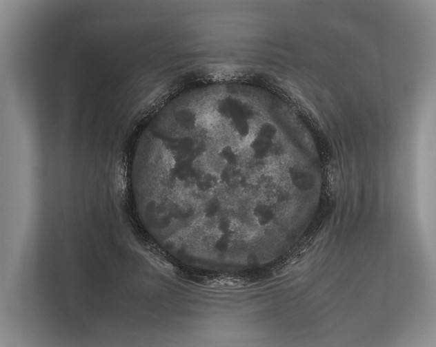 X0000111840691200908131419