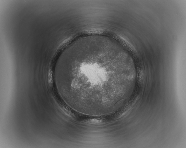 X0000111840692200908131419