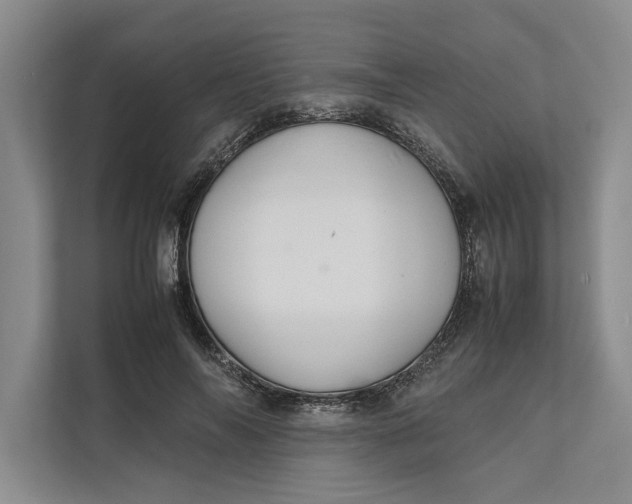 X0000111840694200908131419