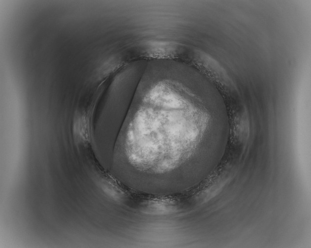 X0000111840696200908131419