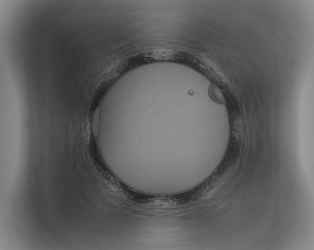 X0000111840697200908131419