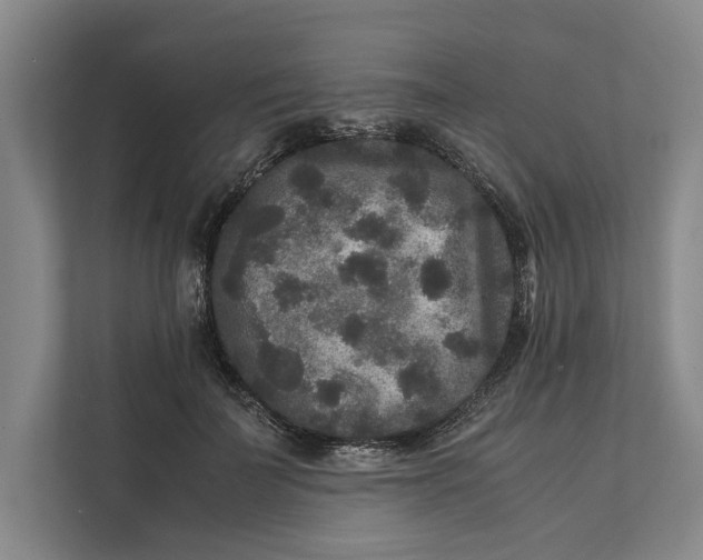 X0000111840699200908131419