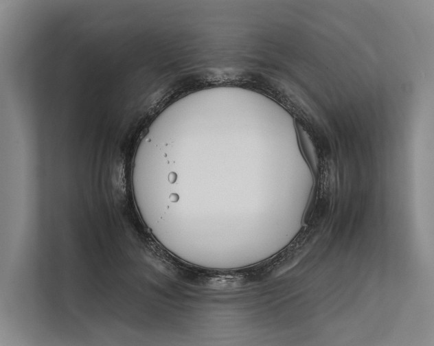 X0000111840700200908131419