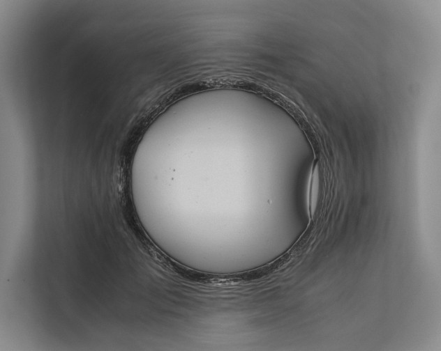 X0000111840701200908131419