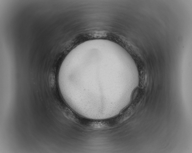 X0000111840704200908131419