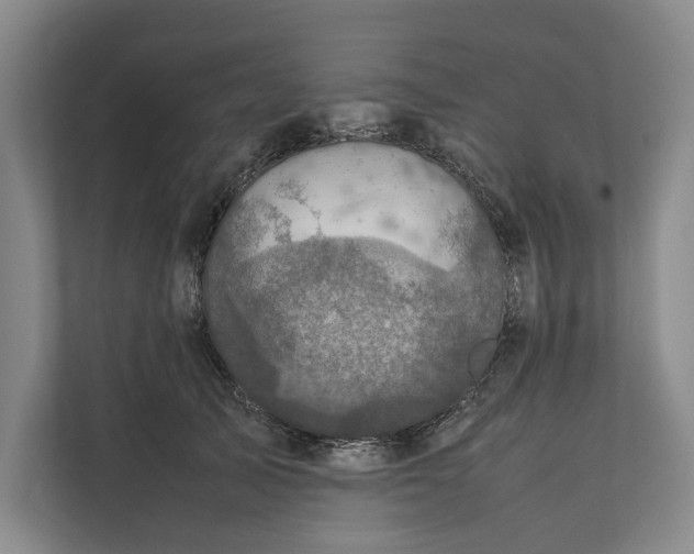 X0000111840705200908131419