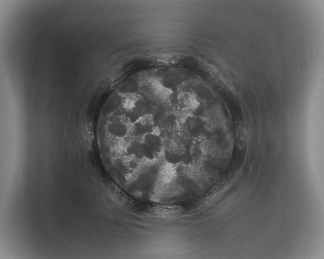 X0000111840707200908131419