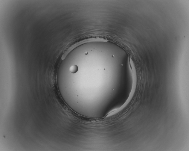 X0000111840708200908131419