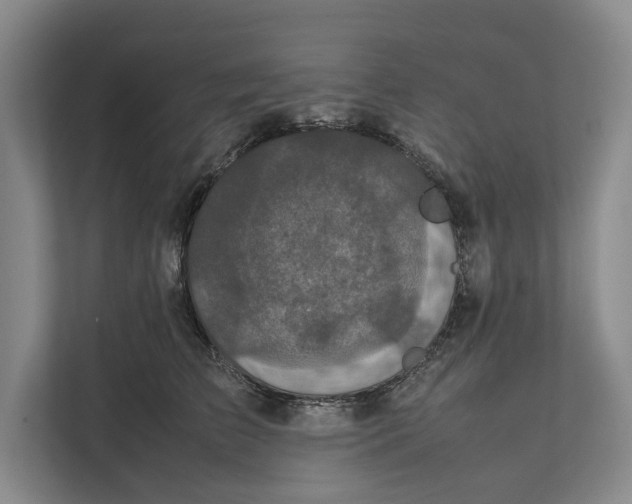 X0000111840709200908131419