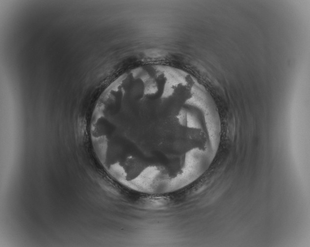 X0000111840711200908131419