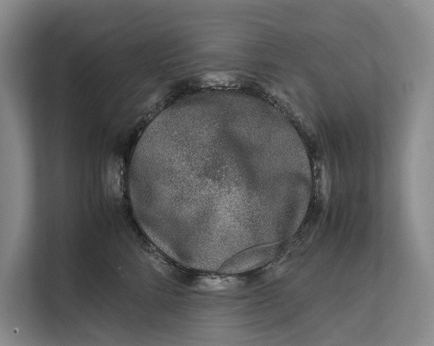 X0000111840712200908131419