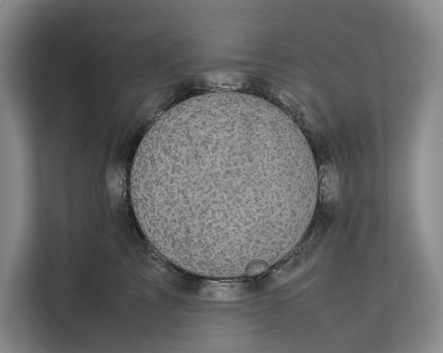 X0000111840713200908131419