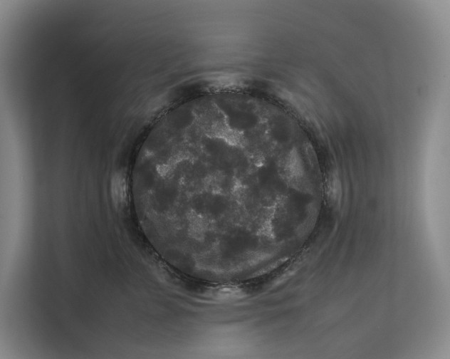 X0000111840715200908131419