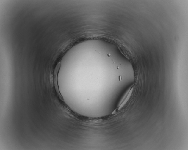 X0000111840716200908131419