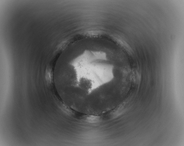 X0000111840718200908131419