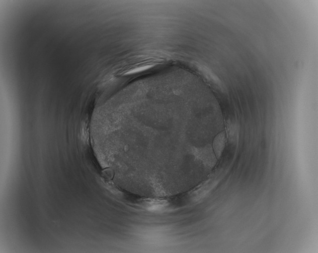 X0000111840719200908131419