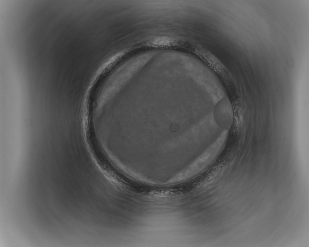 X0000111840728200908131418