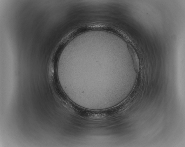 X0000111840731200908131418