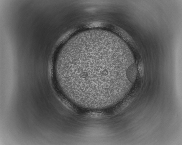 X0000111840732200908131418