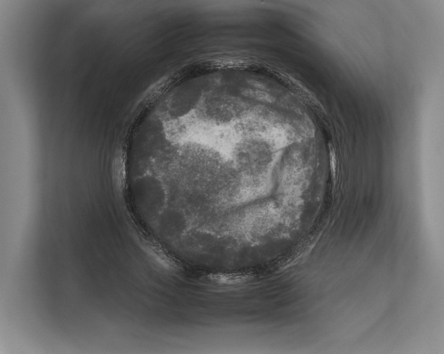 X0000111840733200908131418