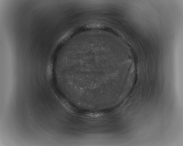 X0000111840735200908131418