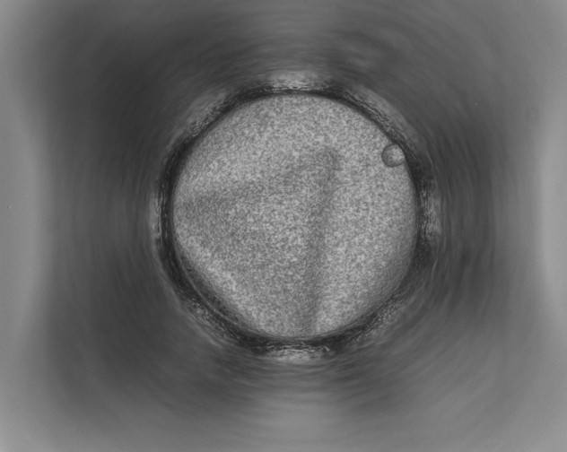 X0000111840738200908131418