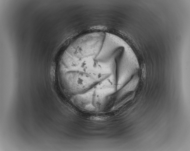 X0000111840739200908131418