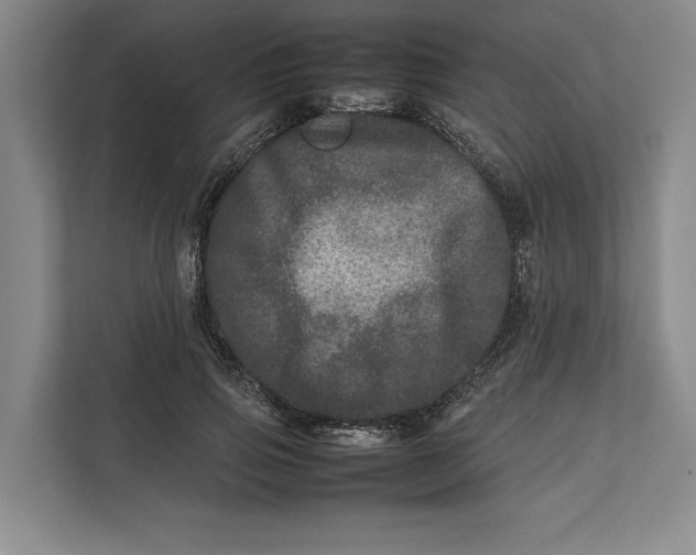 X0000111840741200908131418