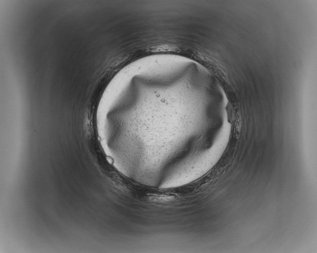 X0000111840743200908131418