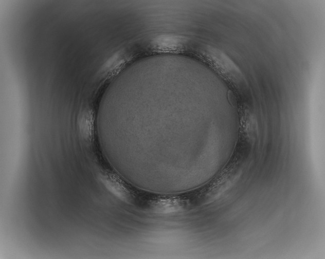 X0000111840744200908131418