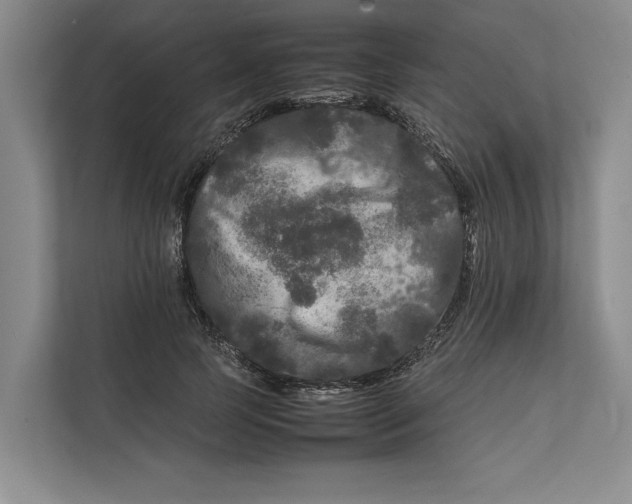 X0000111840745200908131418