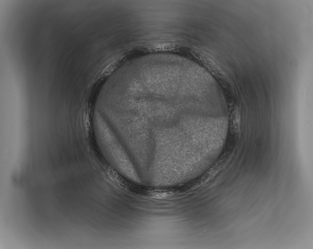 X0000111840746200908131418