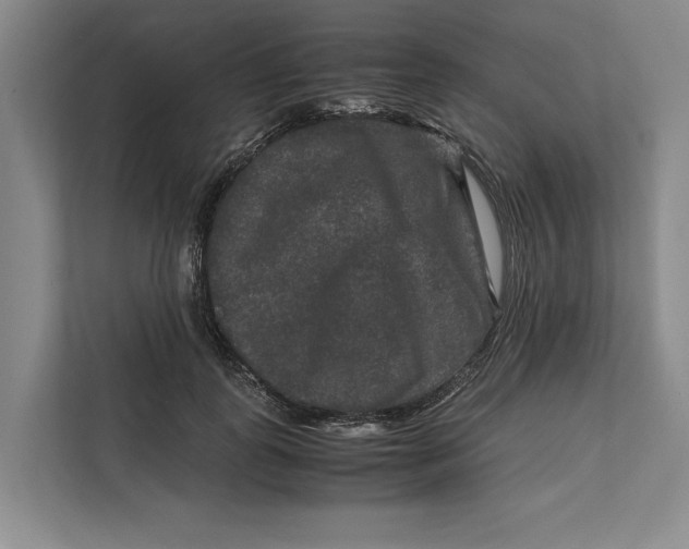 X0000111840747200908131418