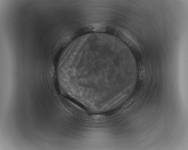 X0000111840748200908131418