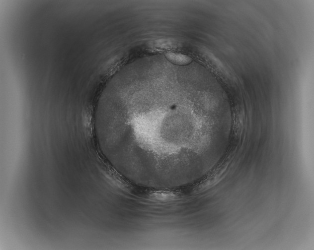 X0000111840749200908131418