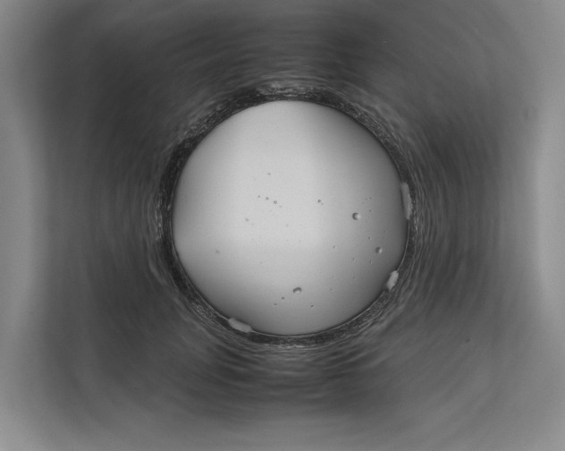 X0000111840751200908131418