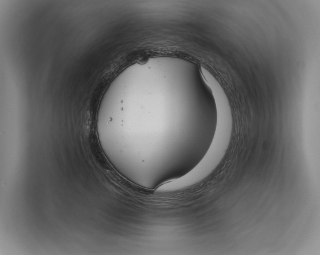 X0000111840752200908131418