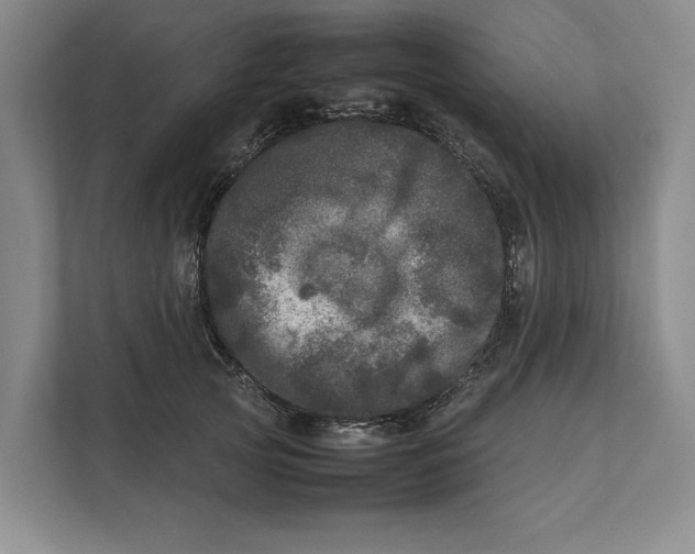 X0000111840753200908131418