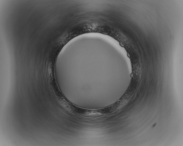 X0000111840754200908131418