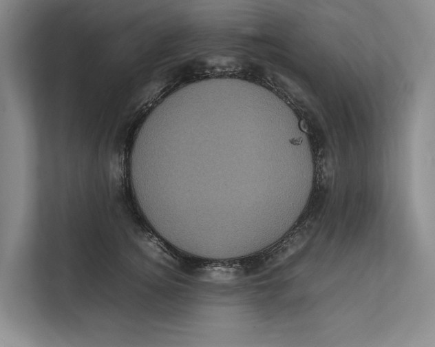 X0000111840756200908131418