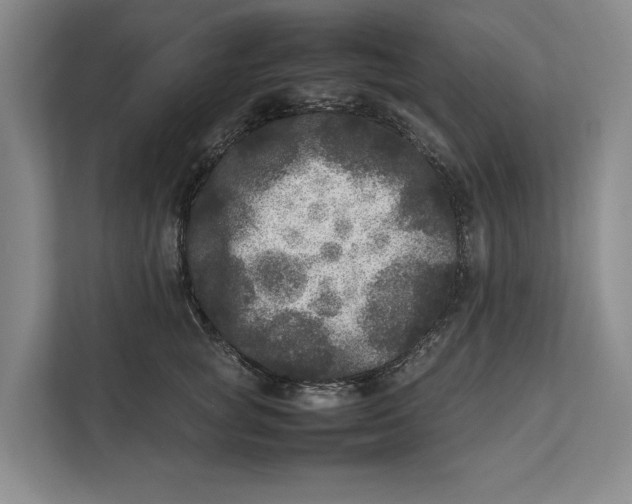 X0000111840757200908131418