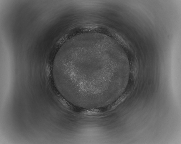 X0000111840758200908131418