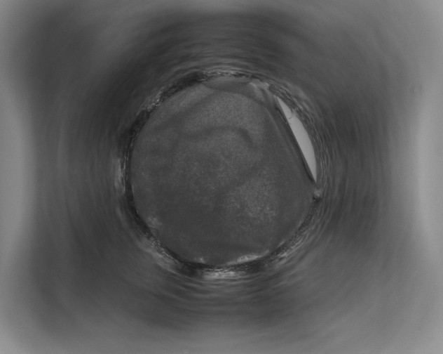 X0000111840759200908131418