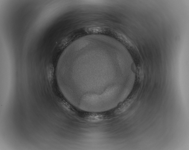 X0000111840760200908131418