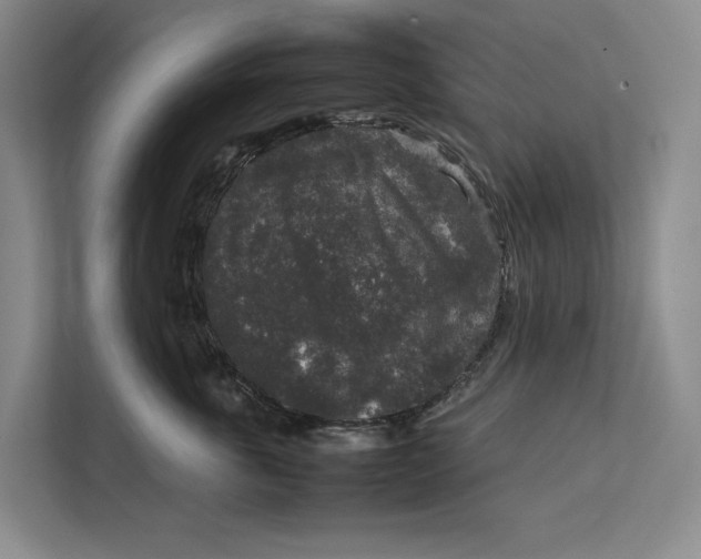 X0000111840763200908131418